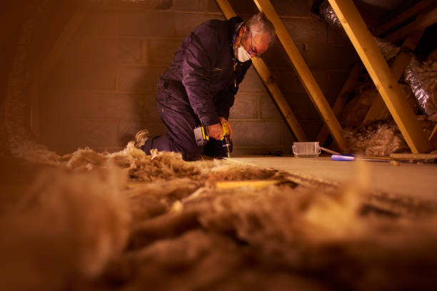 Professional Insulation Services in Sulphur, OK